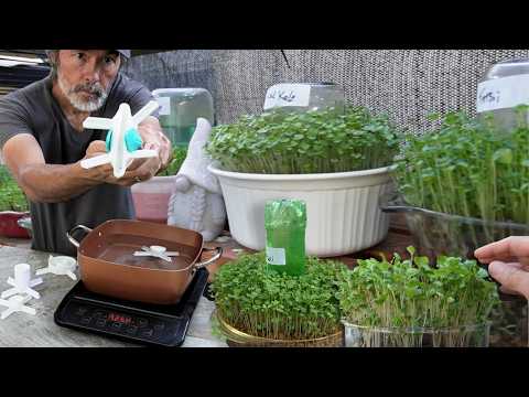 Amateur Gardener Breaks the Internet Again with Easy Grow System