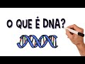 Funções do DNA e RNA