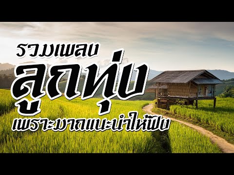 รวมเพลงลูกทุ่งเพราะมากแนะนำให้ฟัง