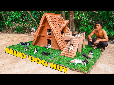 You Won't Believe This Puppy House Makeover!