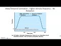 Muscle Contraction Mechanisms and Phases