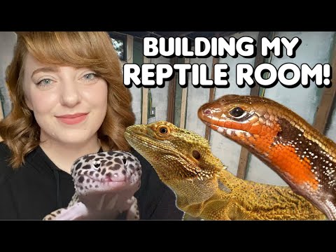 Building My Reptile Room!