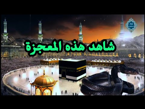 معجزة كبيرة قصة الثعبان الذي أرسله الله ليحرس كنز الكعبة ثم اختفى #إياك_نستعين