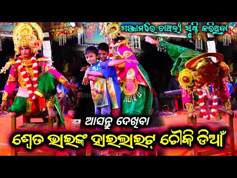 ଶ୍ଵେତ ଭାଇଙ୍କ ହାଇଲାଇଟ୍ ଅର୍ଜୁନ ଡିଆଁ | Nilanchala Mishra Bharat Lila | Odia Bharat Lila | Gahani Ganthi