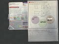 Properties and Classification of Quadrilaterals