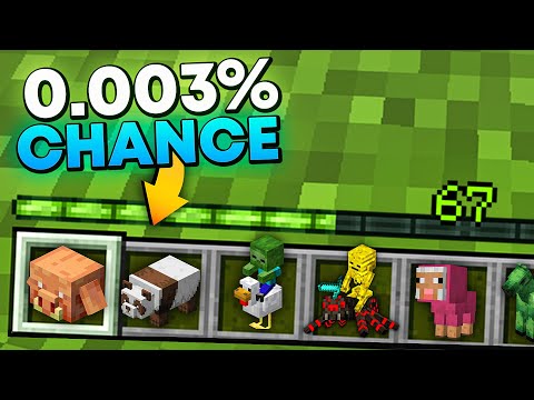 Why I'm Collecting Every RARE MOB In This Minecraft SMP