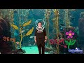 Exploring Energy Sources in Kelp Forests and Gardens