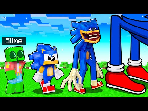 Evolving as SONIC in Minecraft!