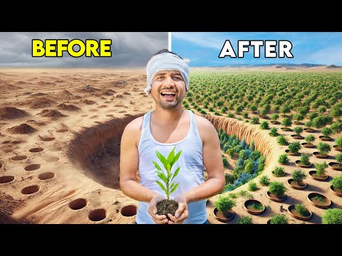 Finally...We Plant 1 Lakh Trees - एक लाख पेड़🌳| Part-2