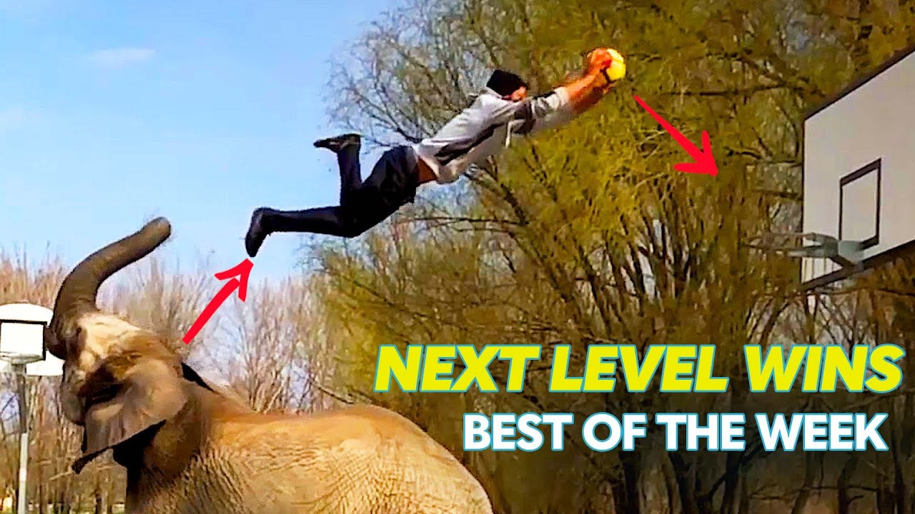 The Most EPIC Trick Shots & More