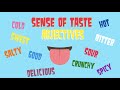 Exploring Taste Adjectives