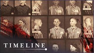 Horrific Human Experiments Of The Holocaust