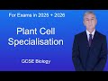 Plant Cell Functions and Structures