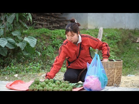 Chop kohlrabi to sell, hatch chicks and make a place for the remaining chicks to live