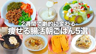 【食物繊維×善玉菌の最強腸活】簡単5分で作れる。作り置きもOK！2週間で腸内が劇的に変わる朝食メニューをご紹介します。