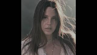 Lana Del Rey | Black Beauty