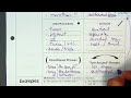 Translating Expressions and Equations in Algebra