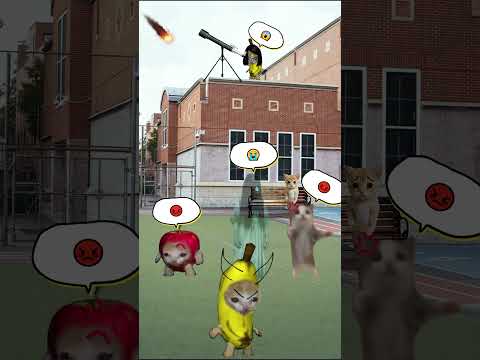 Banana Cat And Happy Cat School Day Part 19  #bananacat #catmemes #happycat