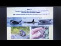 Evolutionary Concepts and Relationships