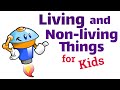 Identifying Living and Non-Living Things