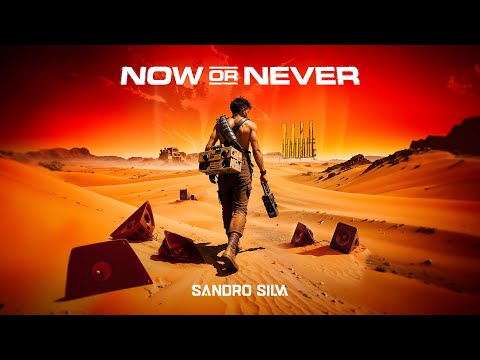 Sandro Silva - Now Or Never