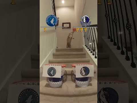 Air Corgi predicts if the T-Wolves or Mavericks advance to the NBA Finals 👀 #nba #nbaplayoffs