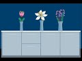 Meiosis Observation and Techniques