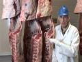 Yield Grade Factors in Beef Carcasses