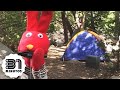 Aventuras en la Naturaleza