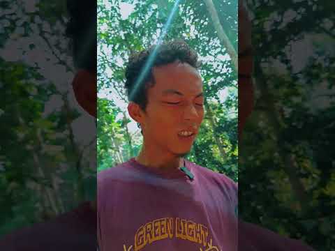 ga sempat pulang akibat asal tangkap #viral #ularindonesia #comedy #survival #funny  #funnymemes