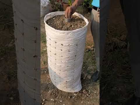Water Line #farming #organicagro #urbanagriculture #agriculture #uniqueagrotips