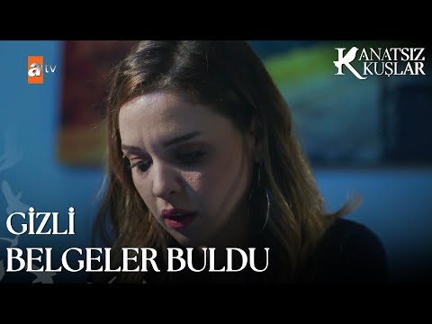 Gizli belgeleri buldu - Kanatsız Kuşlar 11. Bölüm