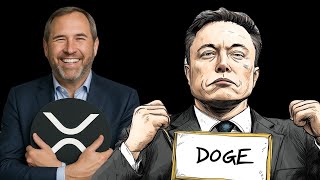 XRP DOGE 노래 