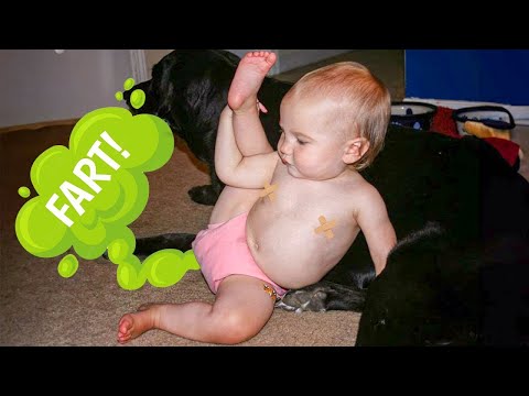 Funniest Babies Fart You'll EVER See! - Try Not To Laugh