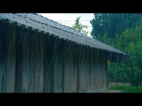 Real Best Rain Sounds For Insomnia, Sleeping Within 10 Minutes Of Rain White Noise Lullaby ASMR