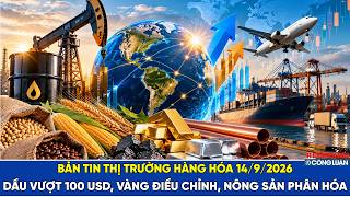  Bản tin thị trường hàng hóa ngày 14/9/2026: Dầu vượt 100 USD, vàng điều chỉnh, nông sản phân hóa