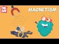 Magnetism Concepts and Principles