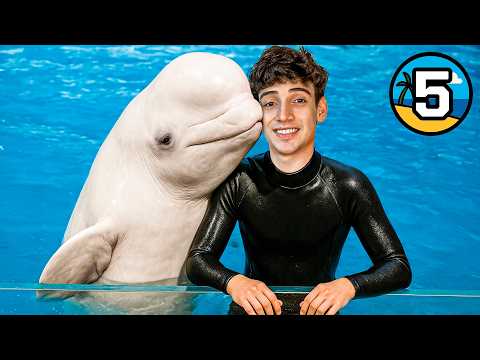 🔴Hice un Peligroso Show de Delfines Extremo🔴 Dia 5 de 7 Viviendo en la Playa
