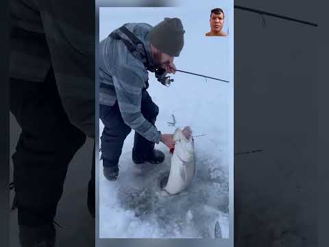 #fishing #lakemonster #laketrout #winter #icefishing #fish #ice #bigpike #monsterfish#monsterfishing