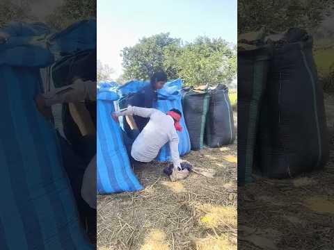 #timelapse start to finish alone build log cabin (wooden house)how to build wooden cabin