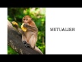 Types of Ecological Interactions