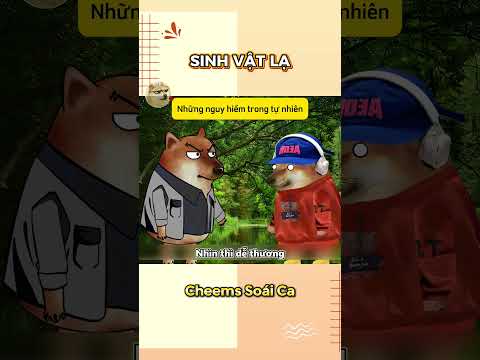Sinh vật lạ | Cheems Soái Ca