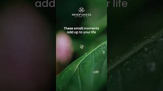 This Is Your Life 🌿 : Every Choice Counts #mindfulnesspractice  #mindfulnessmeditation