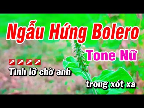 Karaoke Ngẫu Hứng Bolero Nhạc Sống Tone Nữ | Hoài Phong Organ