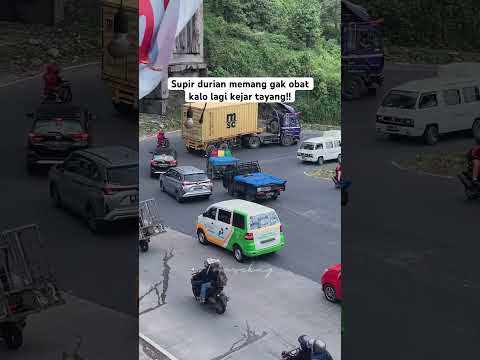 Supir durian memang gak obat kalo lagi kejar tayang!! #l300  #viralvideo #automobile