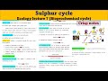 Understanding the Sulphur Cycle