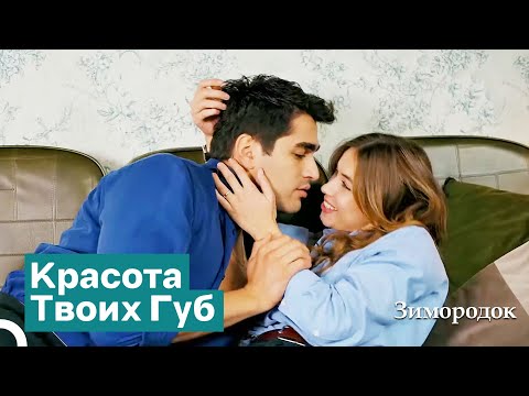 Давай Немного Поживём Любовью На Диване | Зимородок