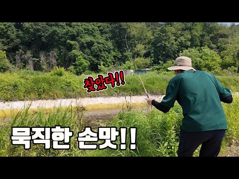 눈으로 보고 잡는 대물낚시!! 무조건 해보세요!! 끝내줍니다