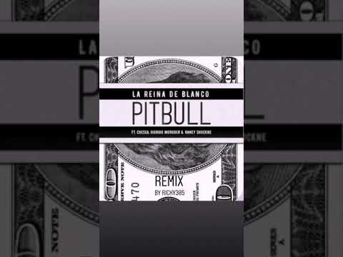 Pitbull - La Reina De Blanco feat. Chesca, Giorgio Moroder & Raney Shockne (Remix by Ricky305)