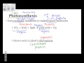 Photosynthesis and Cellular Respiration Concepts